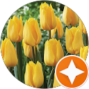 Manish Patel profile picture